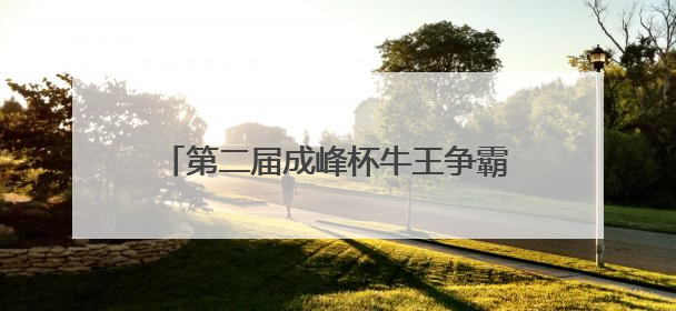 第二届成峰杯牛王争霸赛在科左中旗激情上演