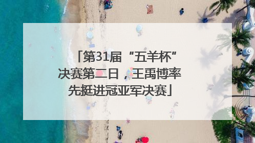 第31届“五羊杯”决赛第二日，王禹博率先挺进冠亚军决赛
