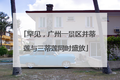 罕见，广州一景区并蒂莲与三蒂莲同时盛放