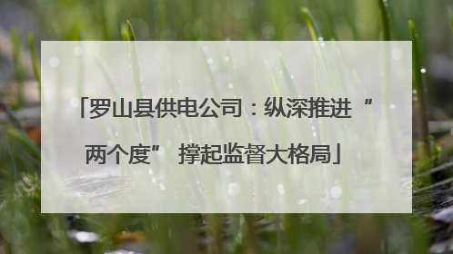 罗山县供电公司：纵深推进“两个度” 撑起监督大格局