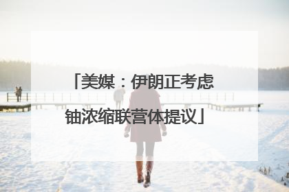 美媒：伊朗正考虑铀浓缩联营体提议
