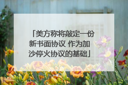 美方称将敲定一份新书面协议 作为加沙停火协议的基础