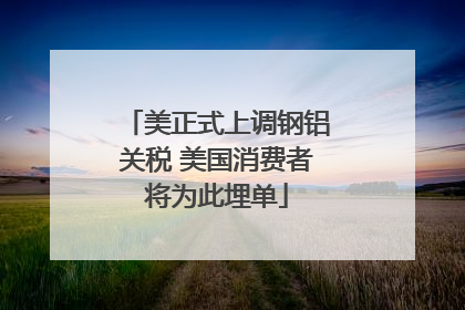 美正式上调钢铝关税 美国消费者将为此埋单