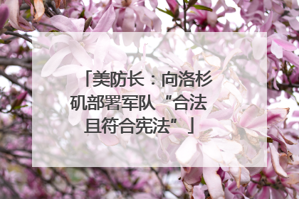 美防长：向洛杉矶部署军队“合法且符合宪法”