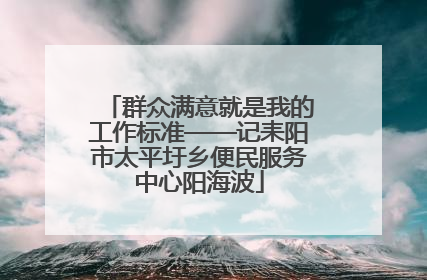 群众满意就是我的工作标准——记耒阳市太平圩乡便民服务中心阳海波