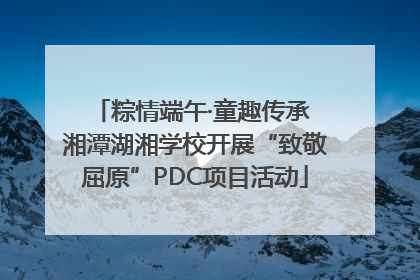 粽情端午·童趣传承 湘潭湖湘学校开展“致敬屈原”PDC项目活动