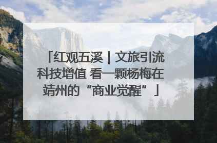 红观五溪｜文旅引流 科技增值 看一颗杨梅在靖州的“商业觉醒”