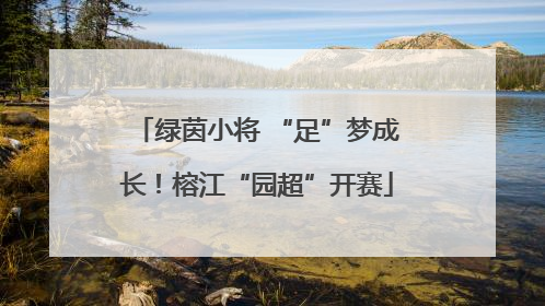 绿茵小将 “足”梦成长！榕江“园超”开赛