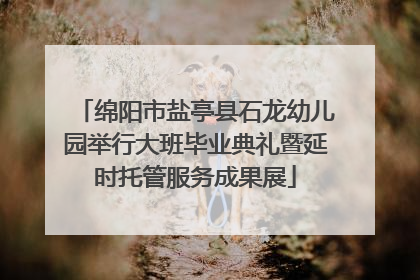 绵阳市盐亭县石龙幼儿园举行大班毕业典礼暨延时托管服务成果展