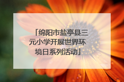 绵阳市盐亭县三元小学开展世界环境日系列活动