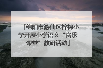 绵阳市游仙区梓棉小学开展小学语文“富乐课堂”教研活动