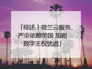综述丨荷兰云服务严重依赖美国 加剧数字主权忧虑