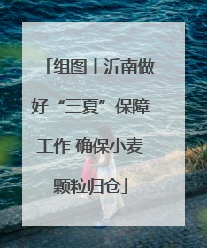 组图丨沂南做好“三夏”保障工作 确保小麦颗粒归仓