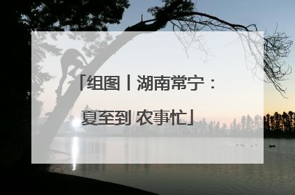 组图丨湖南常宁：夏至到 农事忙