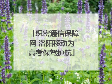 织密通信保障网 洛阳移动为高考保驾护航
