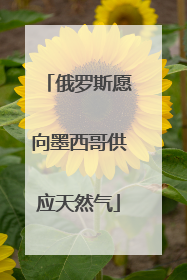 俄罗斯愿向墨西哥供应天然气