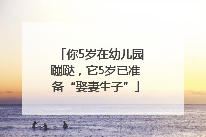 你5岁在幼儿园蹦跶，它5岁已准备“娶妻生子”