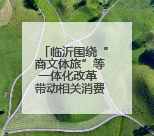 临沂围绕“商文体旅”等一体化改革 带动相关消费2.1亿元