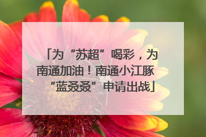 为“苏超”喝彩，为南通加油！南通小江豚“蓝叒叒”申请出战
