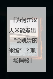 为何江汉大米能煮出“会跳舞的米饭”？现场揭秘