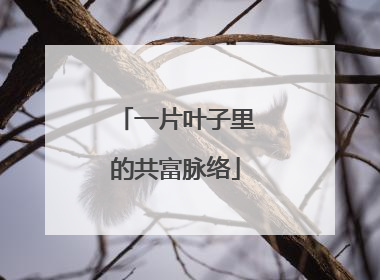 一片叶子里的共富脉络