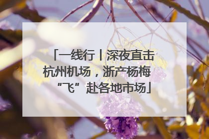 一线行丨深夜直击杭州机场，浙产杨梅“飞”赴各地市场