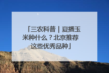三农科普｜夏播玉米种什么？北京推荐这些优秀品种