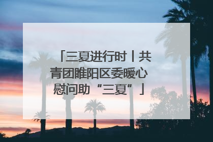 三夏进行时丨共青团睢阳区委暖心慰问助“三夏”