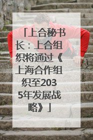 上合秘书长：上合组织将通过《上海合作组织至2035年发展战略》