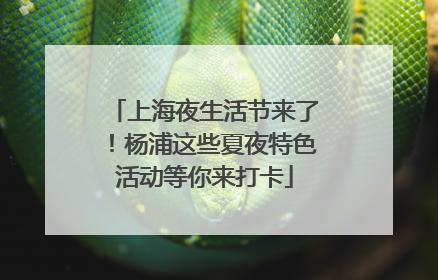 上海夜生活节来了！杨浦这些夏夜特色活动等你来打卡