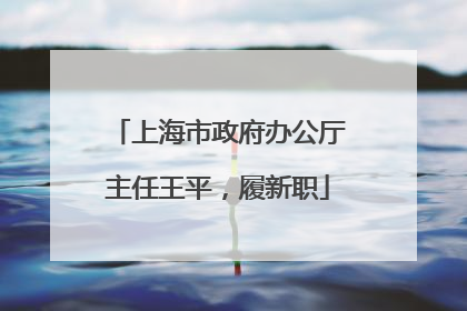 上海市政府办公厅主任王平，履新职