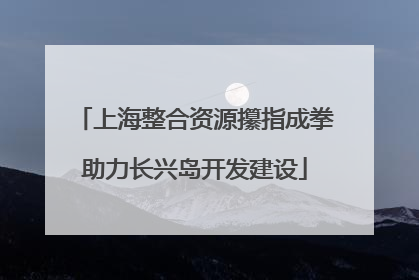 上海整合资源攥指成拳助力长兴岛开发建设