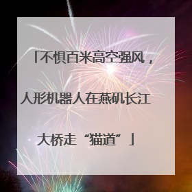 不惧百米高空强风，人形机器人在燕矶长江大桥走“猫道”
