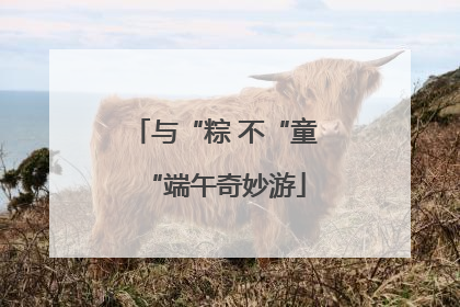 与“粽 不“童“端午奇妙游