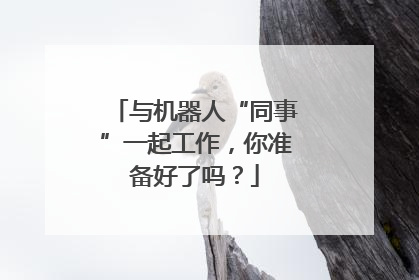 与机器人“同事”一起工作，你准备好了吗？
