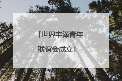 世界丰泽青年联谊会成立