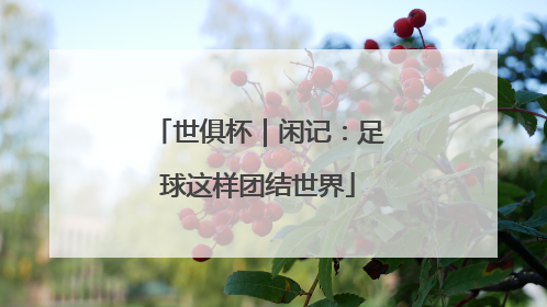 世俱杯｜闲记：足球这样团结世界