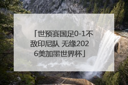世预赛国足0-1不敌印尼队 无缘2026美加墨世界杯