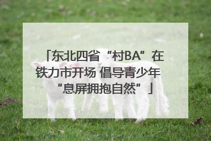 东北四省“村BA”在铁力市开场 倡导青少年“息屏拥抱自然”