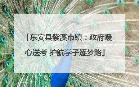 东安县紫溪市镇：政府暖心送考 护航学子逐梦路
