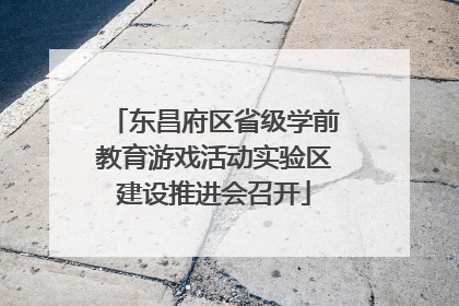 东昌府区省级学前教育游戏活动实验区建设推进会召开