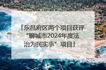 东昌府区两个项目获评“聊城市2024年度法治为民实事”项目