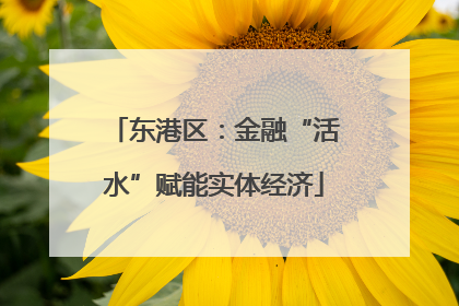 东港区：金融“活水”赋能实体经济