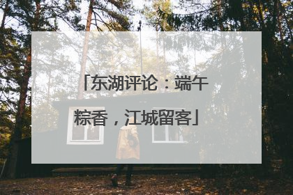 东湖评论：端午粽香，江城留客