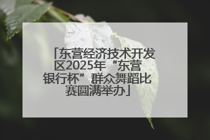 东营经济技术开发区2025年“东营银行杯”群众舞蹈比赛圆满举办