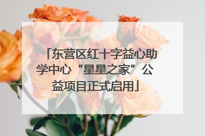 东营区红十字益心助学中心“星星之家”公益项目正式启用