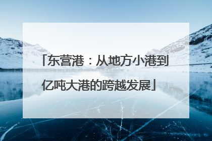 东营港：从地方小港到亿吨大港的跨越发展