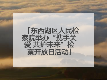 东西湖区人民检察院举办“携手关爱 共护未来”检察开放日活动
