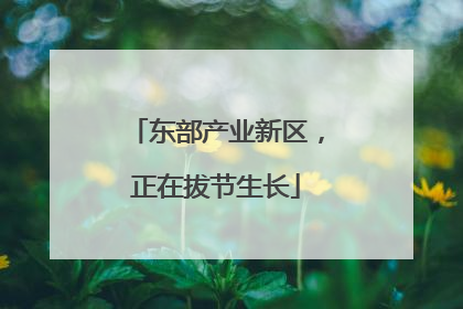 东部产业新区，正在拔节生长