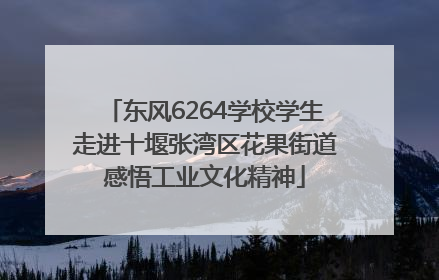 东风6264学校学生走进十堰张湾区花果街道感悟工业文化精神
